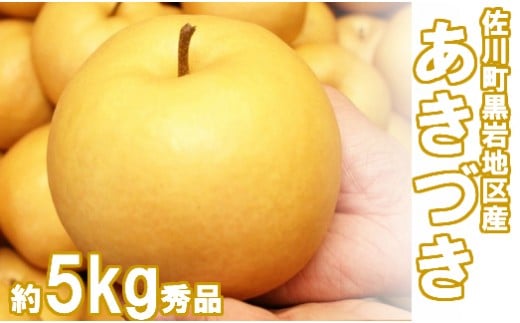 <2025年9月中旬頃より発送予定>　あきづき 梨（約5kg／8～12玉）【期間限定・先行予約受付】秋月梨　黒岩