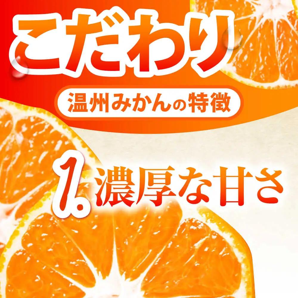【先行予約】温州みかん 約10kg [SCQ002] みかん