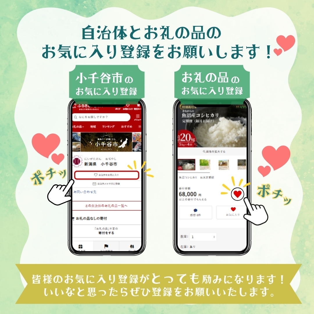 日帰り錦鯉観光ツアー！！