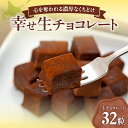 【ふるさと納税】 北海道産 生チョコレート 32粒 放牧牛乳 生クリーム 濃厚 アルコール不使用 生チョコ 小分け お取り寄せ スイーツ デザート 洋菓子 お菓子 菓子 ギフト プレゼント 冷凍 北海道 札幌市