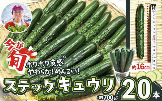 【ふるさと納税】【選べる内容量！】ステックキュウリ ポクポク柔らか！めんこい！ 約20本〜40本 【45P3206・90P3213】【ひない渡辺農園しどけ村】