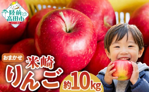 ★高評価獲得★ 旬の新鮮りんご 品種おまかせ 10kg 決済から2週間程度で発送予定 【 りんご 米崎りんご リンゴ 林檎 産地直送 新鮮 青林 王林 ジョナゴールド シナノスイート ふじ サンふじ おまかせ りんご アップル 家庭用 訳あり 】 RT3423