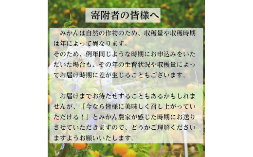 有田みかん「風のしるし」（約5kg）(A1051-1)
