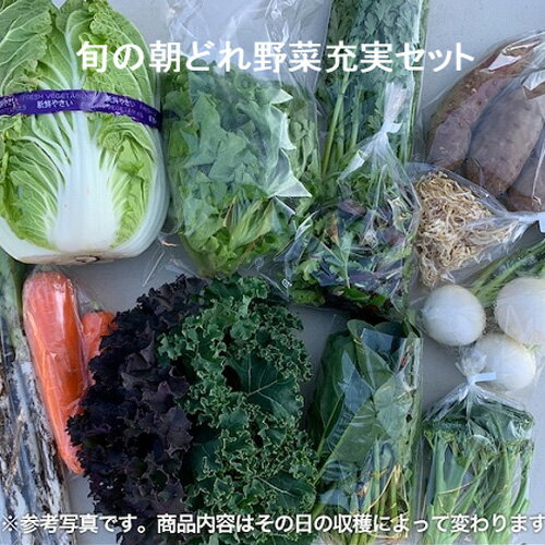 【ふるさと納税】 野菜 詰め合わせ 旬 朝どれ野菜 充実 おまかせ セット 約10種類 川越産 やさい 朝採れ野菜 無農薬 化学肥料不使用 送料無料 埼玉県 No.836
