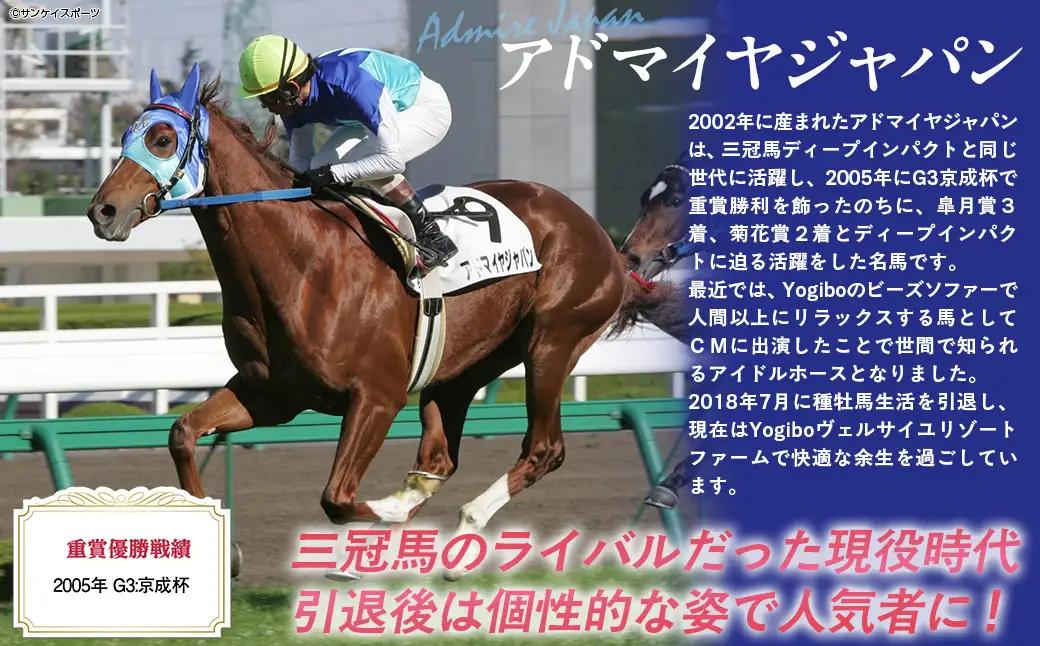 【アドマイヤジャパン×Yogibo】カッティングステッカー（小）4枚入り BRTV049