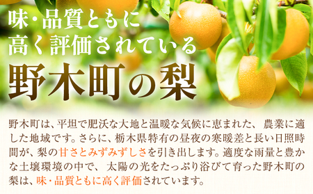 梨 豊水秀品 5kg 井岡農園 豊水梨 なし
