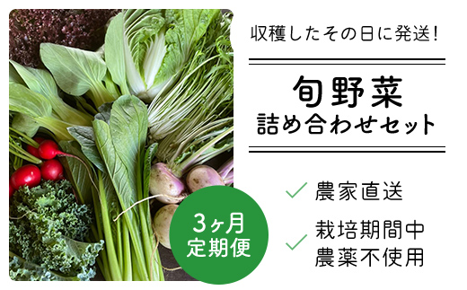 【3ヶ月 定期便】農家直送！【栽培期間中農薬不使用】季節の新鮮野菜「９品」詰め合わせセット オーガニックファーム AIBA FARM TML002 / 野菜セット 無農薬 野菜 千葉県 富里市 直送野