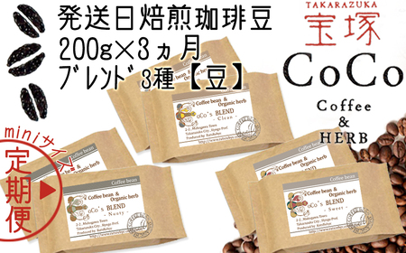 【宝塚】miniｻｲｽﾞ3ヶ月定期便A（当日自家焙煎珈琲3種 計600g）【豆】