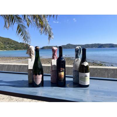 ふるさと納税 瀬戸内町 tlass-2025 2nd Edition-海底熟成前後飲み比べワイン 白・赤・スパークリング6本