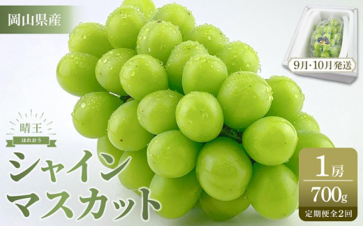 
                  【定期便 全2回／2026年9・10月発送】 岡山県産シャインマスカット 晴王 1房 約700g  2回定期便　９月・１０月に１回づつお届け　種無し 皮ごと食べる 旬の美味しさ　フレッシュ 　ハレノフルーツ | フルーツ 果物 くだもの ぶどう ブドウ シャインマスカット 晴王  種なし 皮ごと フレッシュ 国産 岡山県産 食品 人気 おすすめ 送料無料 定期便 ギフト 贈り物 贈答品 プレゼント ブドウ シャインマスカット 晴王
                