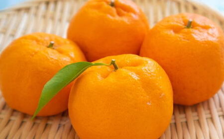 和歌山産 ポンカン 約5kg（サイズ混合・秀優品） ※2027年2月上旬～3月上旬頃に順次発送予定  【tec942A】