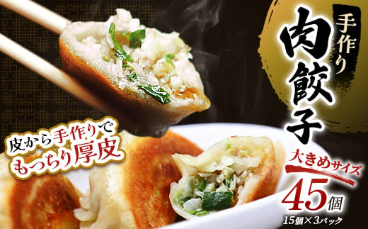 8月発送  肉餃子45個(15個×3)  冷凍餃子 ギョーザ ぎょうざ 中華 簡単調理 小分け 冷凍食品 焼くだけ 惣菜 冷凍 肉 豚肉 F4F-4054