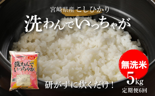 
無洗米コシヒカリ 洗わんでいっちゃが５㎏✕６回定期便 計30㎏ K23_T007
