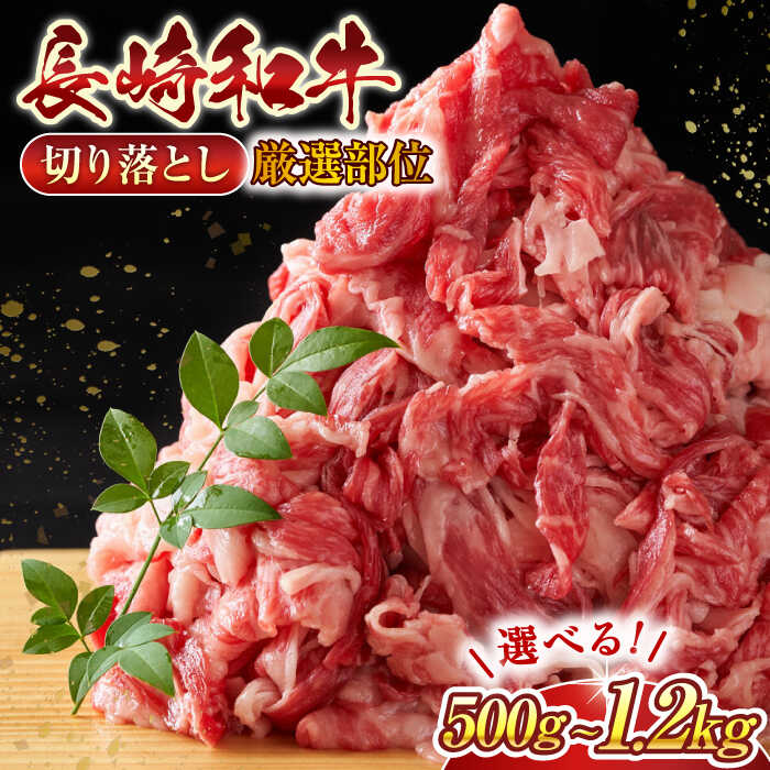 【ふるさと納税】【A4〜A5】長崎和牛 牛肉 切り落とし　(500g or 1kg or 1.2kg)【株式会社 MEAT PLUS】[QBS005] 牛肉 肉 切り落とし a4 a5 長崎和牛 おすすめ 小分け 小分けパック 10,000円 13,000円 15,000円