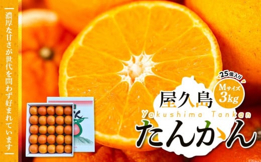 
            【先行予約】屋久島産たんかん Mサイズ 3kg (25個入り)＜渡辺農園＞
          