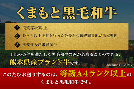 くまもと黒毛和牛 リブロースステーキ 500g ( 250g x 2枚 ) 牛肉 冷凍 《1月中旬-4月末頃より出荷予定》 くまもと黒毛和牛 黒毛和牛 冷凍庫 個別 取分け 小分け 個包装 ステーキ肉