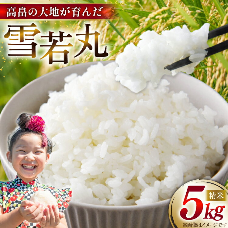 【ふるさと納税】 令和7年産 慣行栽培 雪若丸 5kg [石川重蔵商店 山形県 高畠町 tk06bcz280001] 精米 白米 米 お米 ブランド米 ごはん ご飯