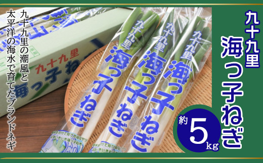 【先行受付2024年12月発送】九十九里の潮風と太平洋の海水で育てたブランドネギ 九十九里海っ子ねぎ 約5kg／ふるさと納税 ねぎ ネギ 葱 千葉県 山武市 SMBQ002