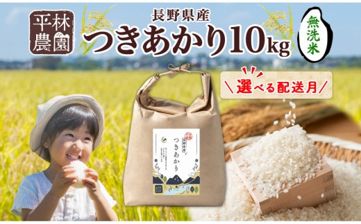 
                  【選べる配送月】令和8年産 つきあかり 無洗米 10kg×1袋 長野県産 米 精米 お米 ごはん ライス 甘み 農家直送 産直 信州 人気 ギフト お取り寄せ 平林農園 送料無料 長野県 大町市
                