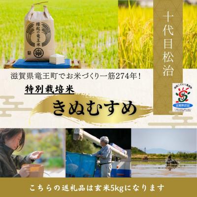 ふるさと納税 竜王町 【令和7年産新米】特別栽培米きぬむすめ 玄米5kg　十代目松治の「縁起の竜王米」