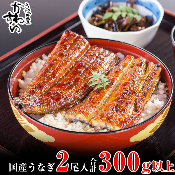 国産うなぎ蒲焼き大サイズ2本セット
