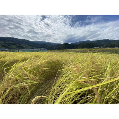 ふるさと納税 千曲市 信州名月　オバステ観月米　5kg |  | 02