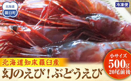 幻のぶどうえび（小・500g /20尾前後） エビ 海老 刺身 海鮮 羅臼町 北海道 海産物 魚介 魚介類 生産者 支援 応援