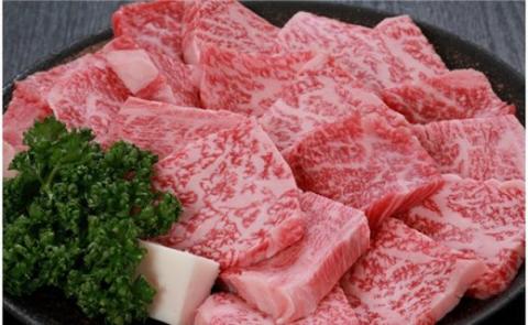 但馬牛 焼肉用 霜降り部位 500g / 牛肉 焼肉 霜降り 赤身 但馬牛 黒毛和牛 和牛 国産牛 焼き肉 牛 肉 やきにく 【JAたじま 肉の店本店】