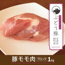 【ふるさと納税】希少 ブランド豚 綾ぶどう豚モモブロック1kg 豚肉 もも肉 赤身 カット 調理 国産 宮崎県産 銘柄豚 冷凍 送料無料 （36-173）