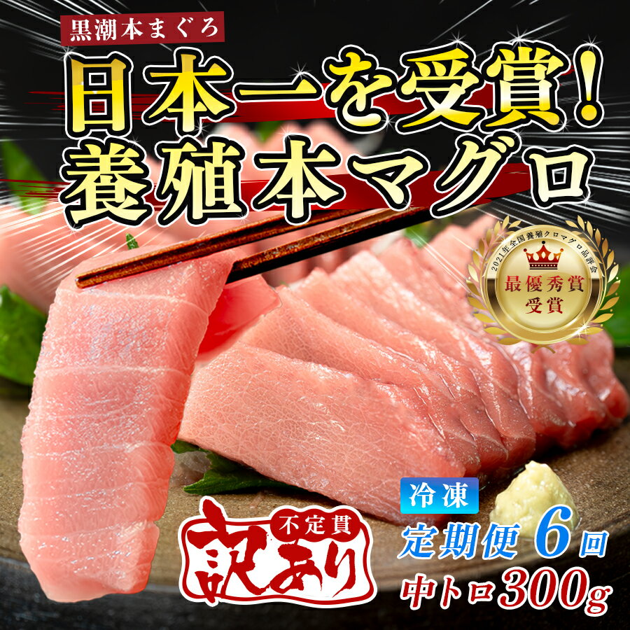 【ふるさと納税】訳あり まぐろ マグロ 本鮪 黒潮本まぐろ 中トロ 定期便 6回 300g × 6回 刺身 さしみ 最優秀賞 全国養殖クロマグロ品評会 受賞 魚 魚介類 海鮮 柵 サク 冷凍 お取り寄せ 産地直送 ギフト 贈答 高知県 大月町