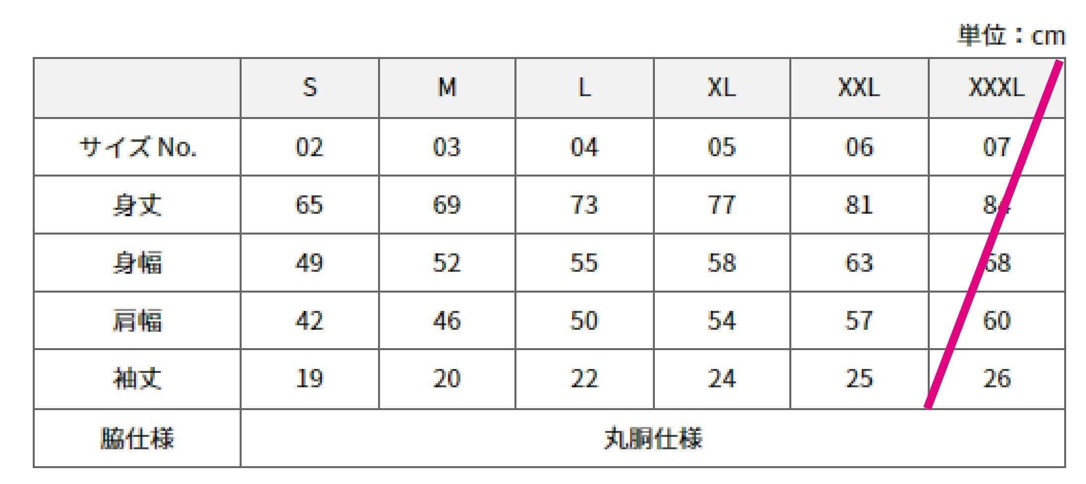 INA CITY Tシャツ ホワイトLサイズ | アパレル 服 洋服 Tシャツ ロゴT シャツ 伊那デザイン シンプルT ホワイト ブラック ご当地T ローカルブランド カジュアル 伊那市 ふるさと納