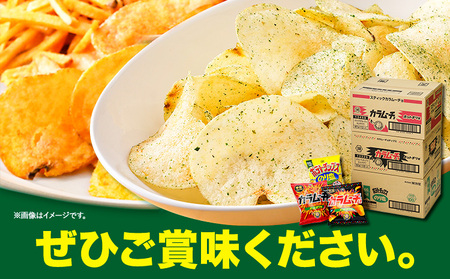 湖池屋 「のり塩・カラムーチョセット」(各12袋×1箱) ポテトチップス　ポテトチップス《30日以内に出荷予定(土日祝除く)》 