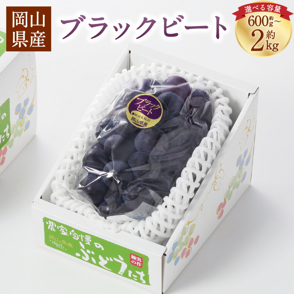 【ふるさと納税】＜選べる内容量＞岡山県産 ブラックビート 約600g～計約2kg 1房～6房 ぶどう ブドウ 葡萄 黒ぶどう フルーツ くだもの 果物 果実 デザート 冷蔵 国産 岡山県 美咲町 送料無料 【2026年8月上旬～9月上旬発送予定】