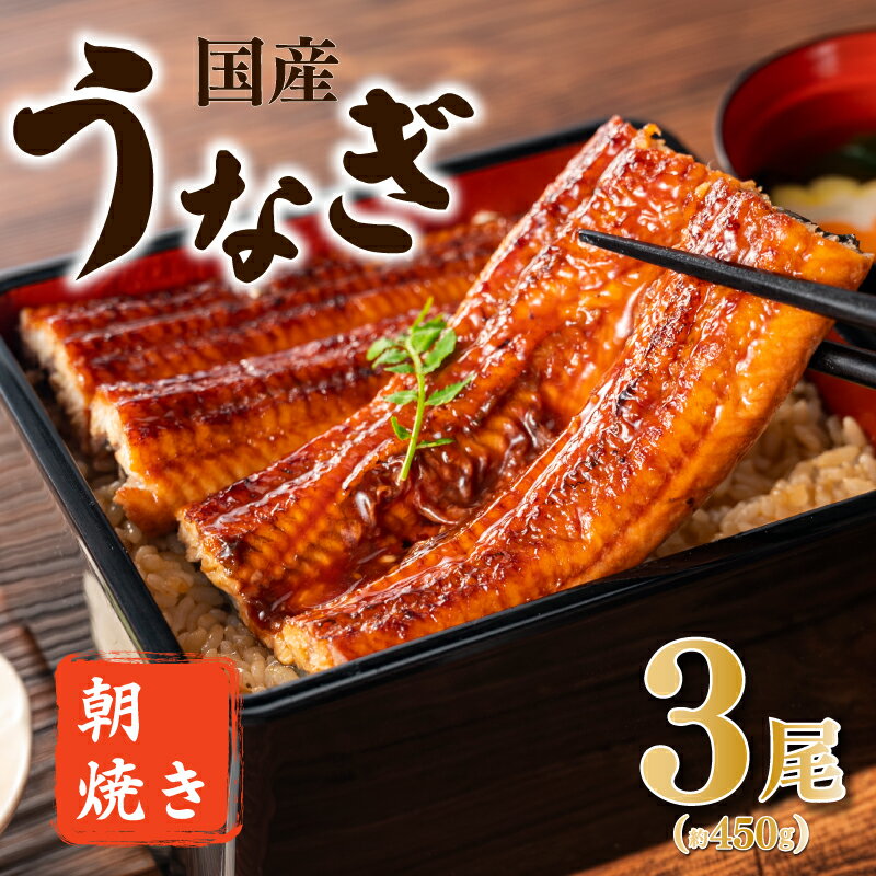 【ふるさと納税】柳川朝焼きうなぎ 3尾入 約150g×3 合計約450g タレ・山椒6袋