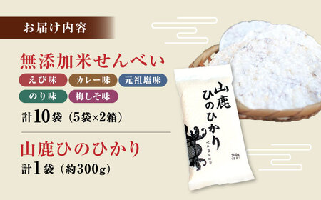 【おつまみにも♪】米せんべい（えび味、カレー味、元祖塩味、のり味、梅しそ味）&amp; ヒノヒカリ【せんべい工房】[ZBQ010]