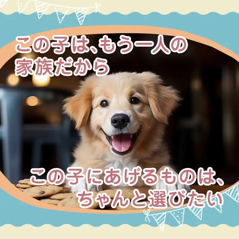 国産ジビエ ジャーキー 3種食べ比べセット 猪肉・鹿肉・熊肉 6パック （各2パック）