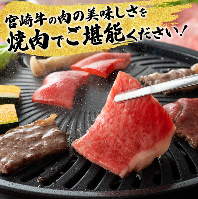 【6ヶ月定期便】宮崎牛焼肉定期便 全6回　牛肉[E11132t6]