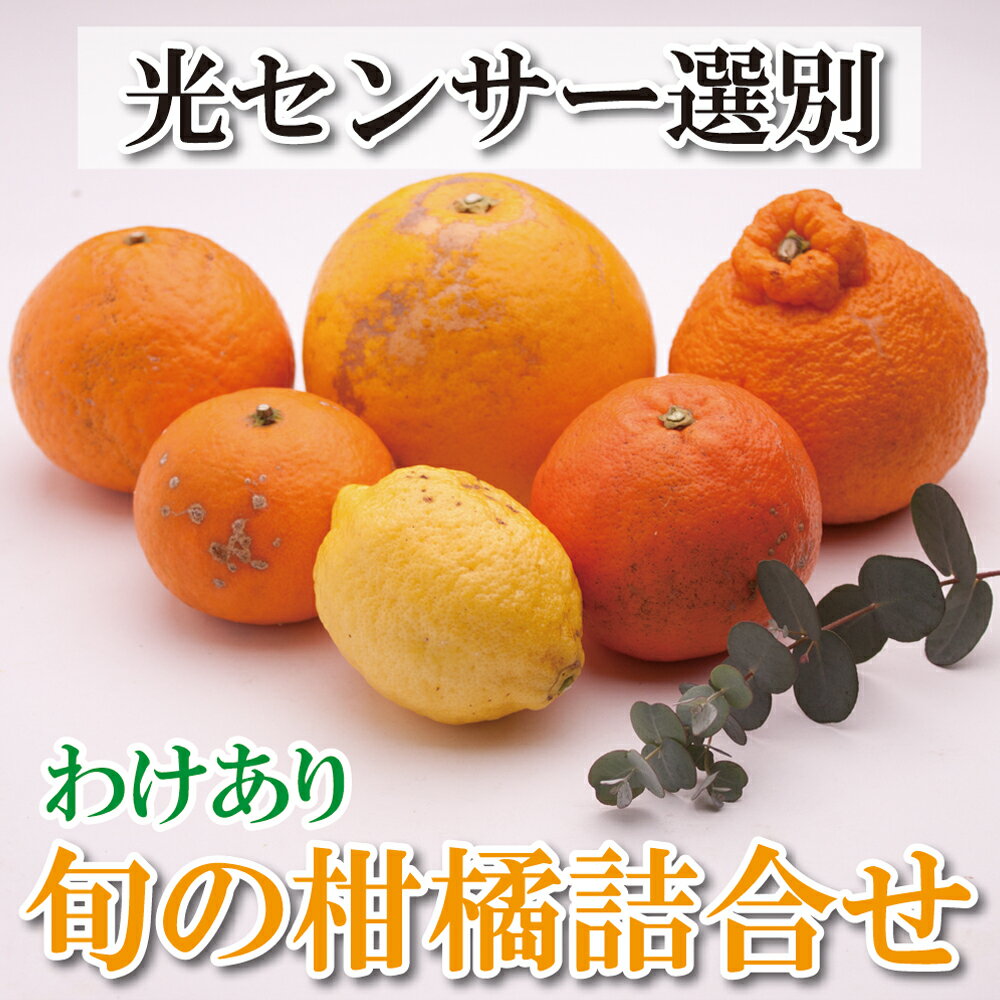 【ふるさと納税】 家庭用旬の柑橘詰合せ 1.5kg+45g / 3kg+90g / 4kg+120g / 5kg+150g【訳あり・わけあり】【有田の春みかん詰め合わせ・フルーツ詰め合せ・オレンジつめあわせ】【光センサー選別】＜2025年1月上旬〜4月下旬ごろに順次発送＞