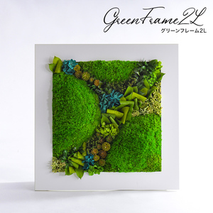 グリーンフレーム２L 花 お花 プリザーブドフラワー ギフト プレゼント お祝い 誕生日 お供え アレンジ インテリア 東京都 墨田区 黒フレーム