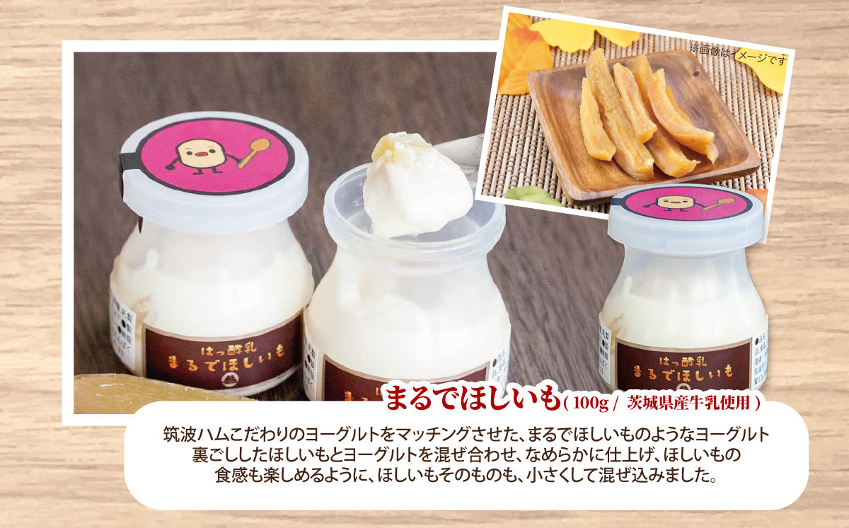 【 筑波ハム 】まるでほしいも × 3個セット1箱【 茨城県 つくば市 ヨーグルト 干し芋 ほしいも ほし芋 紅はるか さつまいも いも 健康 】