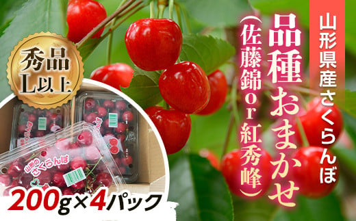 さくらんぼ（佐藤錦または紅秀峰） 800g（200g×4）［秀品・L以上］ 南陽中央青果市場 小分け サクランボ 果物 フルーツ 市場直送 山形県 南陽市