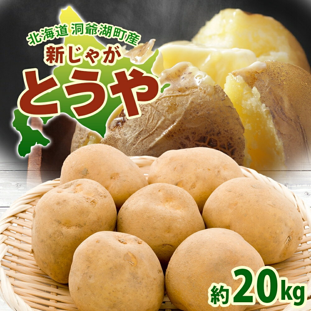 【ふるさと納税】北海道 洞爺湖町産 新じゃがいも とうや 約20kg Mサイズ以上混載 2026年10月初旬より順次出荷 北海道産 新じゃが じゃがいも いも ジャガイモ 馬鈴薯 黄爵 芋 旬 野菜 農作物 送料無料 産地直送 常温 洞爺湖町 　お届け：2026年10月初旬より順次出荷