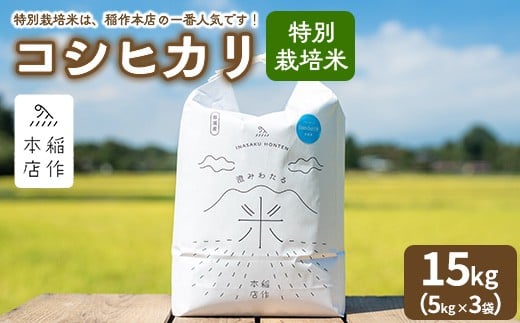 【令和7年産】特別栽培米 コシヒカリ 15kg（5kg×3袋） 〔P-290〕 | こしひかり 米 お米 コメ こめ 精米 濃厚 甘い 国産 那須 栃木県 那須町 ※2025年10月下旬頃より順次発送予定