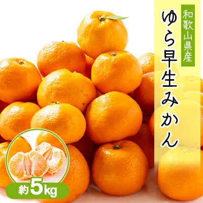 【ふるさと納税】和歌山の早生みかん　ゆら早生(大きさ不揃い)　約5kg【1582070】