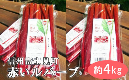 【2026年9月下旬より発送予定】 富士見町の赤いルバーブ約4kg（500g×8袋） 富士見町ルバーブ生産組合