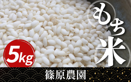 米 もち米 令和7年産 新米 5kg もちみのり こめ ご飯 ごはん 【 お米 】