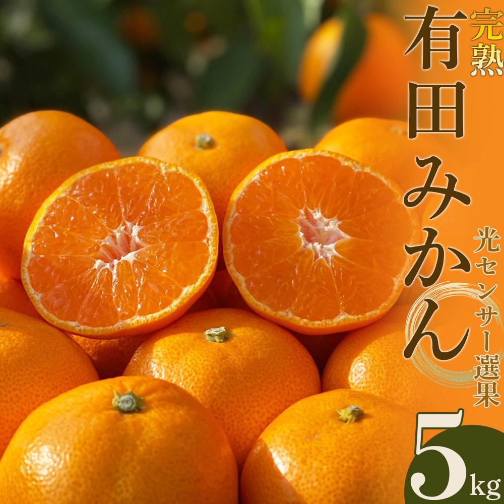 【ふるさと納税】【年内発送】 和歌山県 武内園 有田みかん 特選 秀品 5kg 完熟 光センサー 選果 | 有田みかん みかん ミカン mikan 有田 有田川 ありだ 和歌山 送料無料 フルーツ 果物 オレンジロード 本場 甘い 濃厚 コク お取り寄せ グルメ 光センサー　糖度