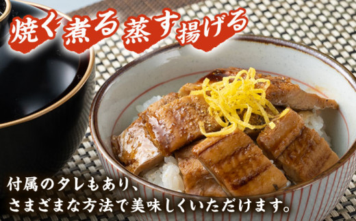 対馬産 穴子 詰め合わせ 10PAC《 対馬市 》【対馬水産株式会社】対馬 新鮮 とろ あなご ふわふわ 煮穴子 冷凍 海鮮 [WAV002]