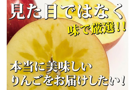 りんご 【 2月～3月上旬発送 】 青森県産 樹上完熟葉とらずふじ 家庭用 厳選品 約 5kg 【 弘前市産 青森りんご 】