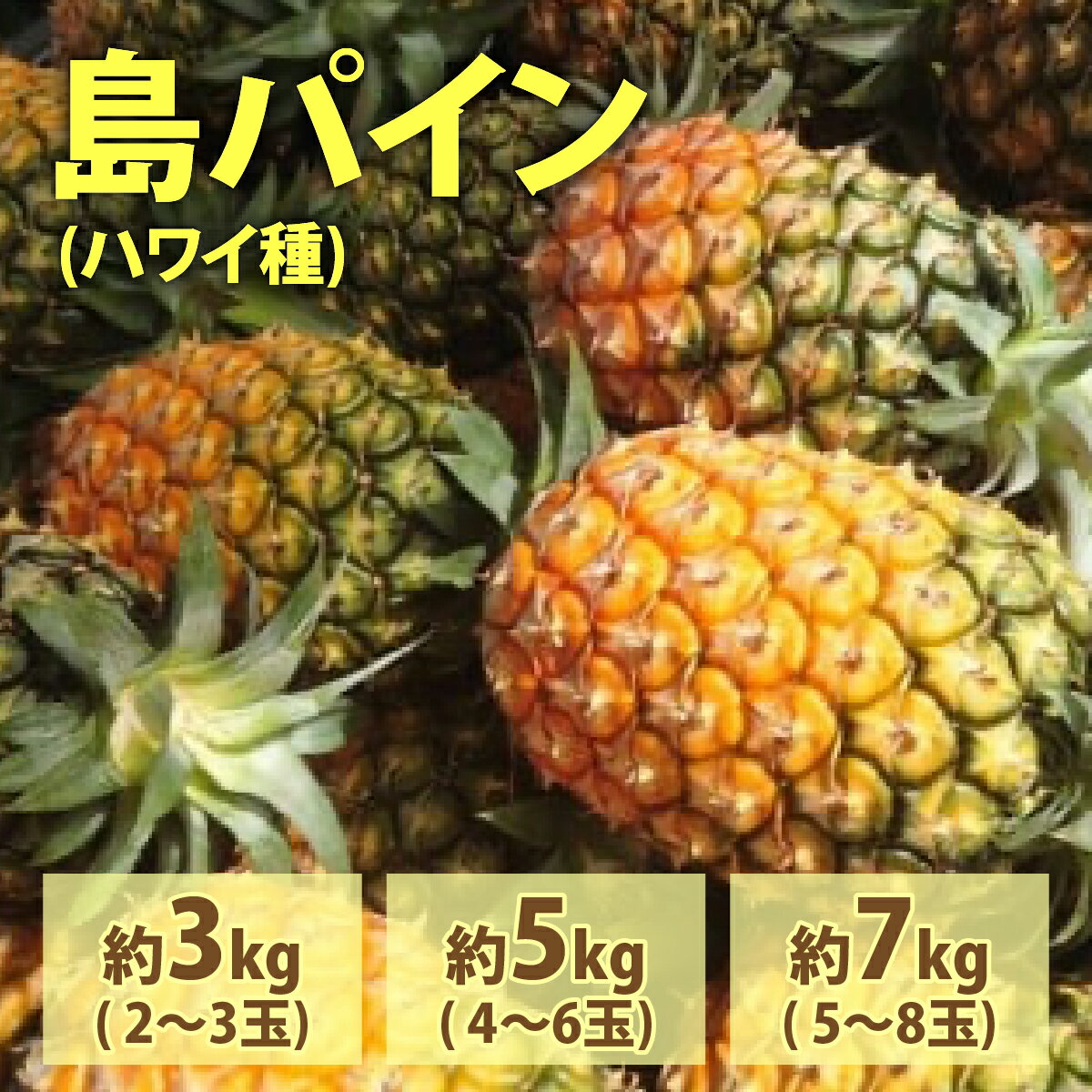 【ふるさと納税】【内容量が選べる】2026年 先行予約 島パイン (ハワイ種) 約3〜7kg 2～8玉 ますみ農園 ”蜜たっぷり” パイン パイナップル 果物 フルーツ【 果物詰合せ フルーツ 】　お届け：2026年6月下旬～7月下旬
